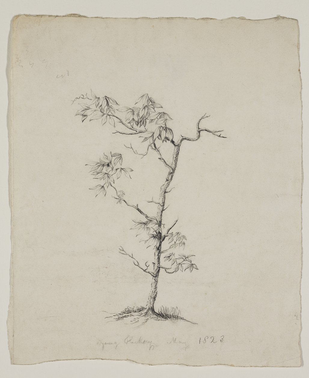  tekijältä Thomas Cole