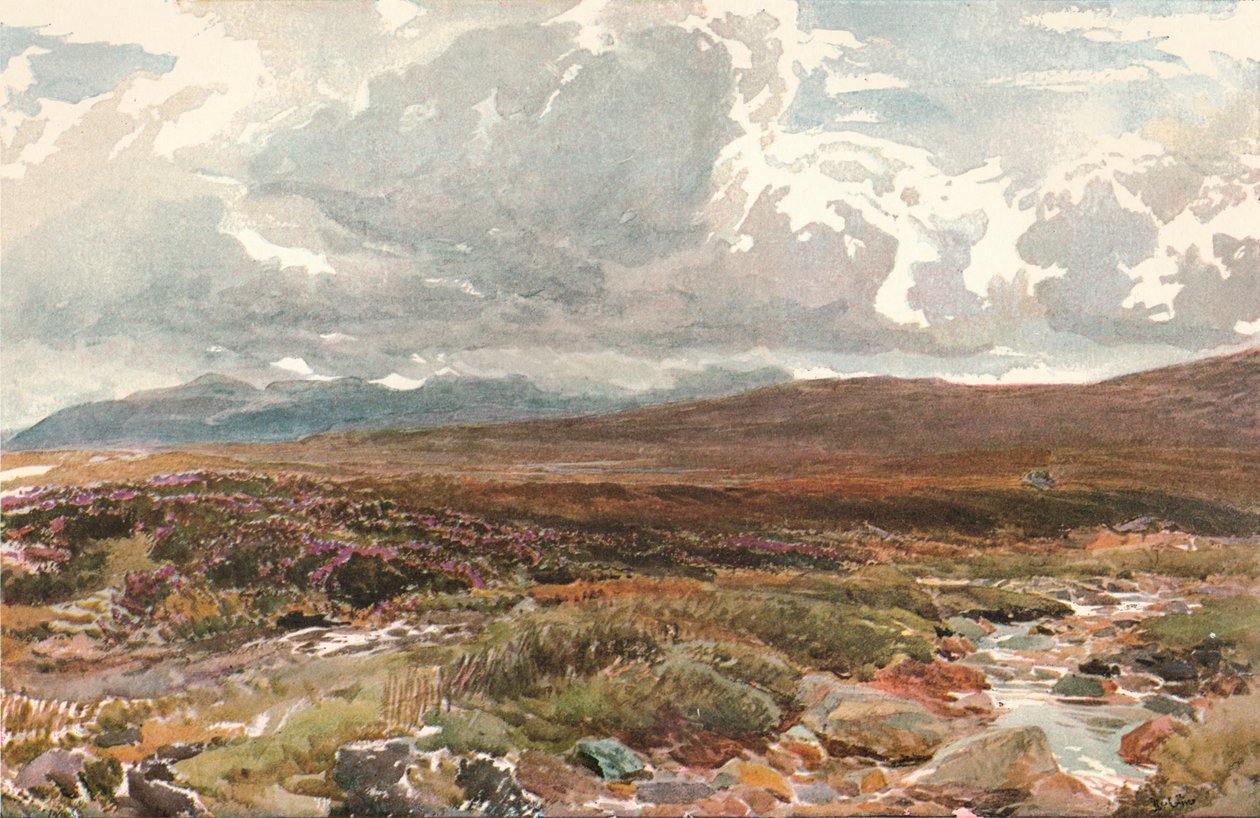 Sussex Common, 1889 tekijältä Thomas Collier