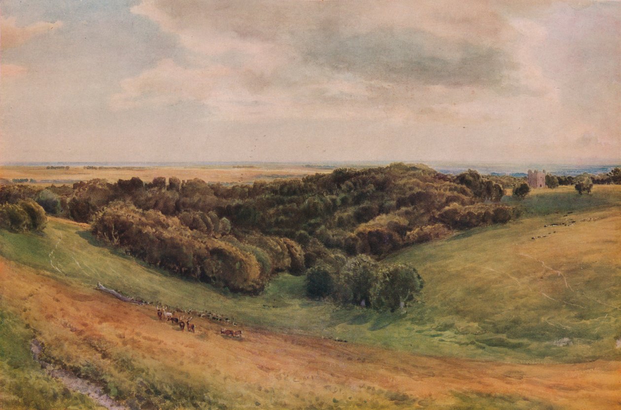 Arundel Park, 1874 tekijältä Thomas Collier