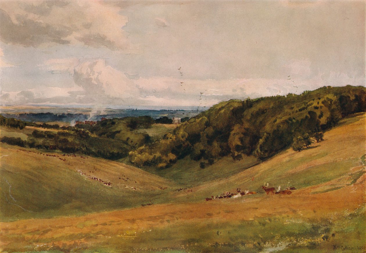 Arundel Park, peuran kanssa, 1880 tekijältä Thomas Collier