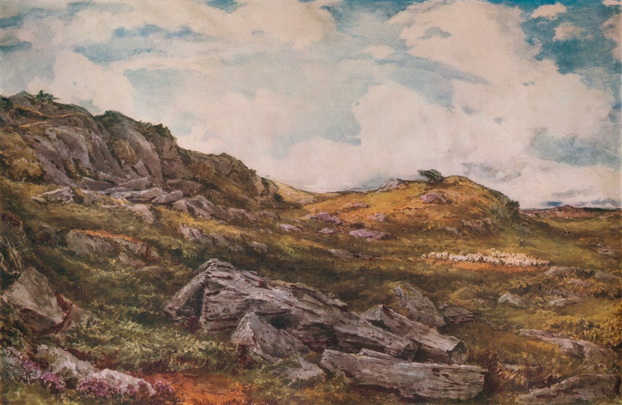 Blythburgh Common, 1888 tekijältä Thomas Collier