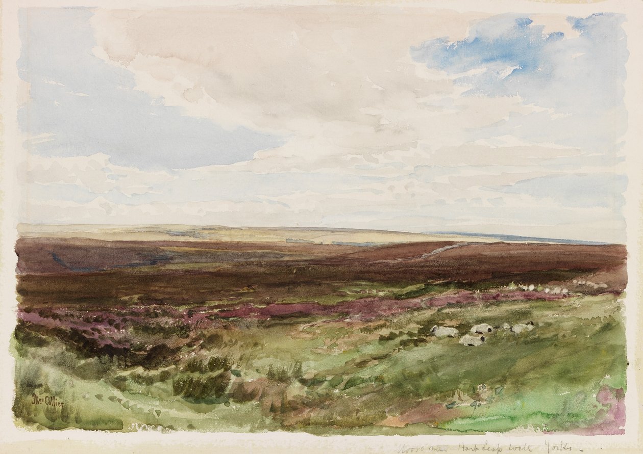 Moorland lähellä Hart Leap Welliä, Yorkshire (akvarelli paperille) tekijältä Thomas Collier