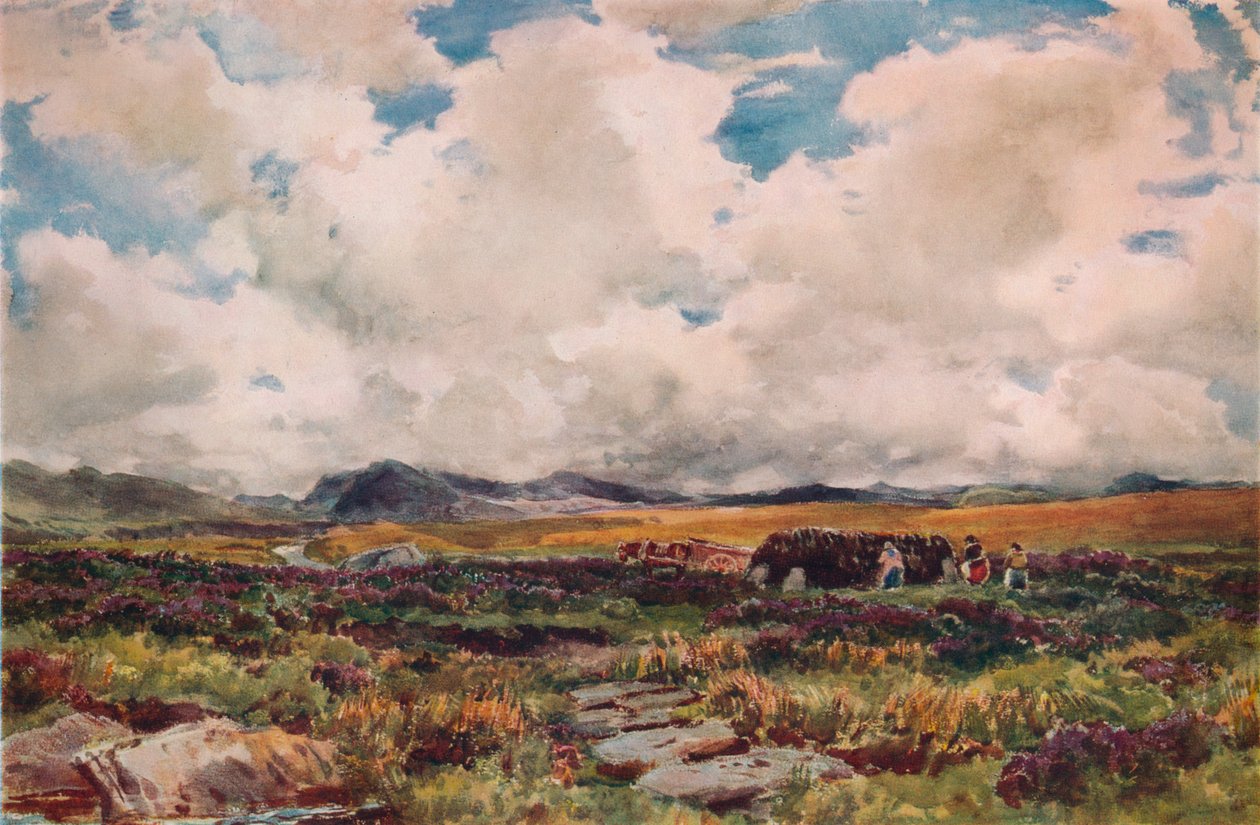 Pinottava turve, Festiniog, Pohjois-Wales, 1881 tekijältä Thomas Collier