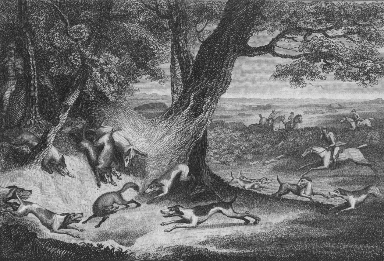 Ketun kuolema, 1793. tekijältä Thomas Cook