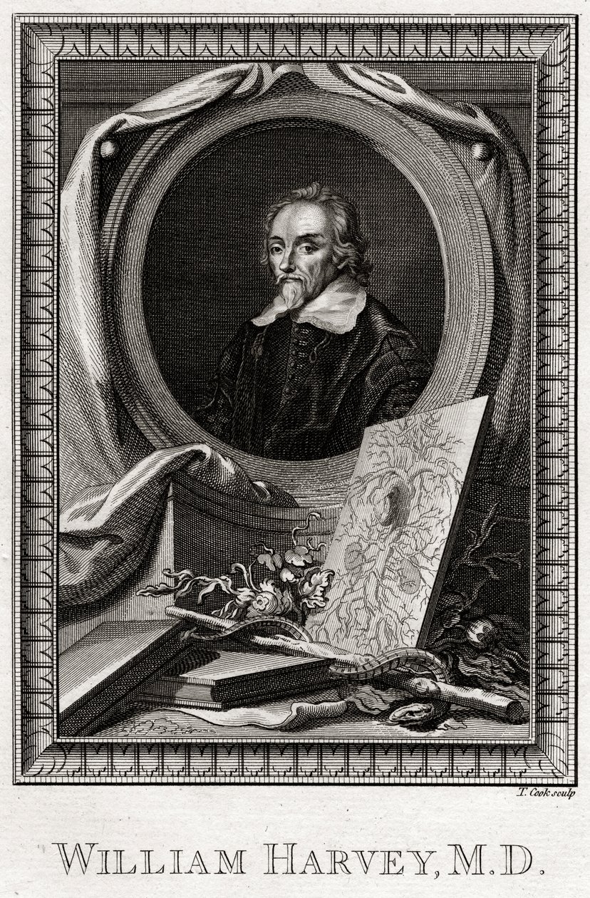 William Harvey, 1777 tekijältä Thomas Cook