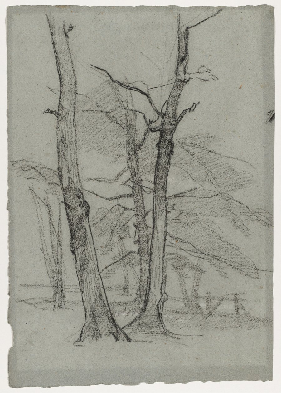 Maisematutkimus puiden kanssa, n. 1870-1875. tekijältä Thomas Couture
