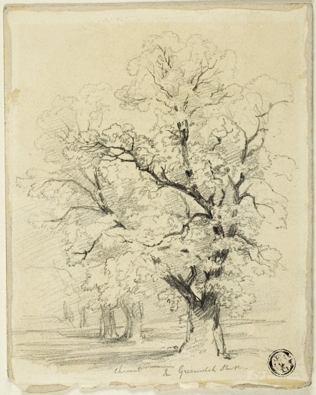 Ches[t]nut in Greenwich Park (Greenwichin puisto) tekijältä Thomas Creswick