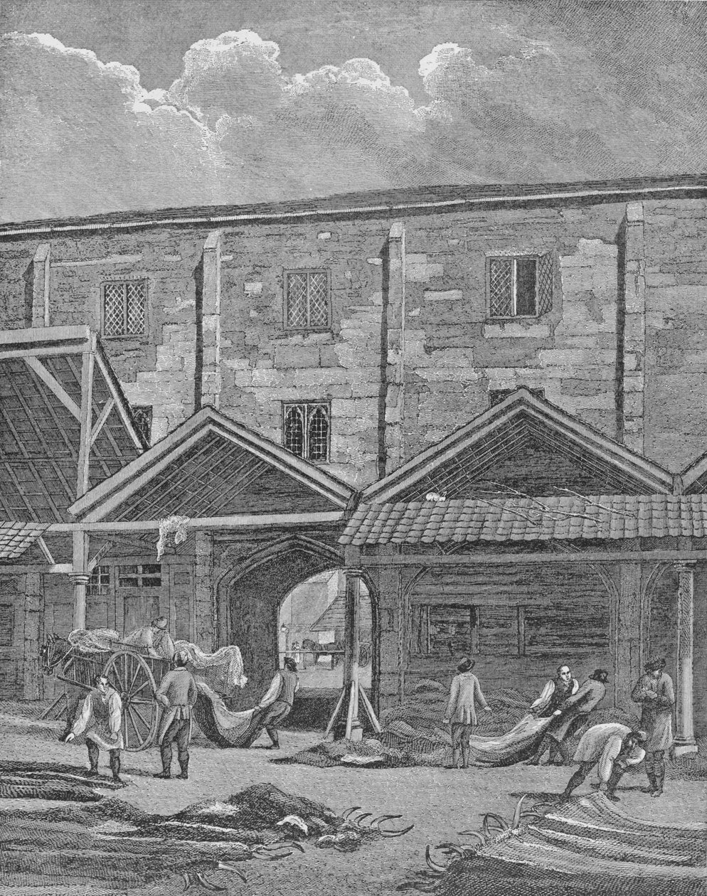 Skin Market, Leadenhall, Lontoon kaupunki, 1825 1911 tekijältä Thomas Dale