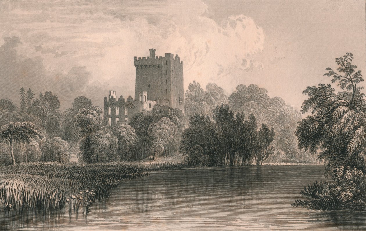 "Blarney Castle, Co. Cork", 1831. tekijältä Thomas Dixon