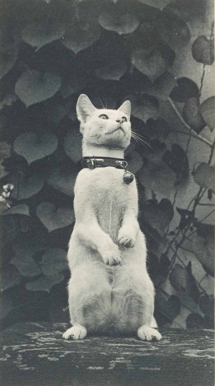 Kissa Eakins