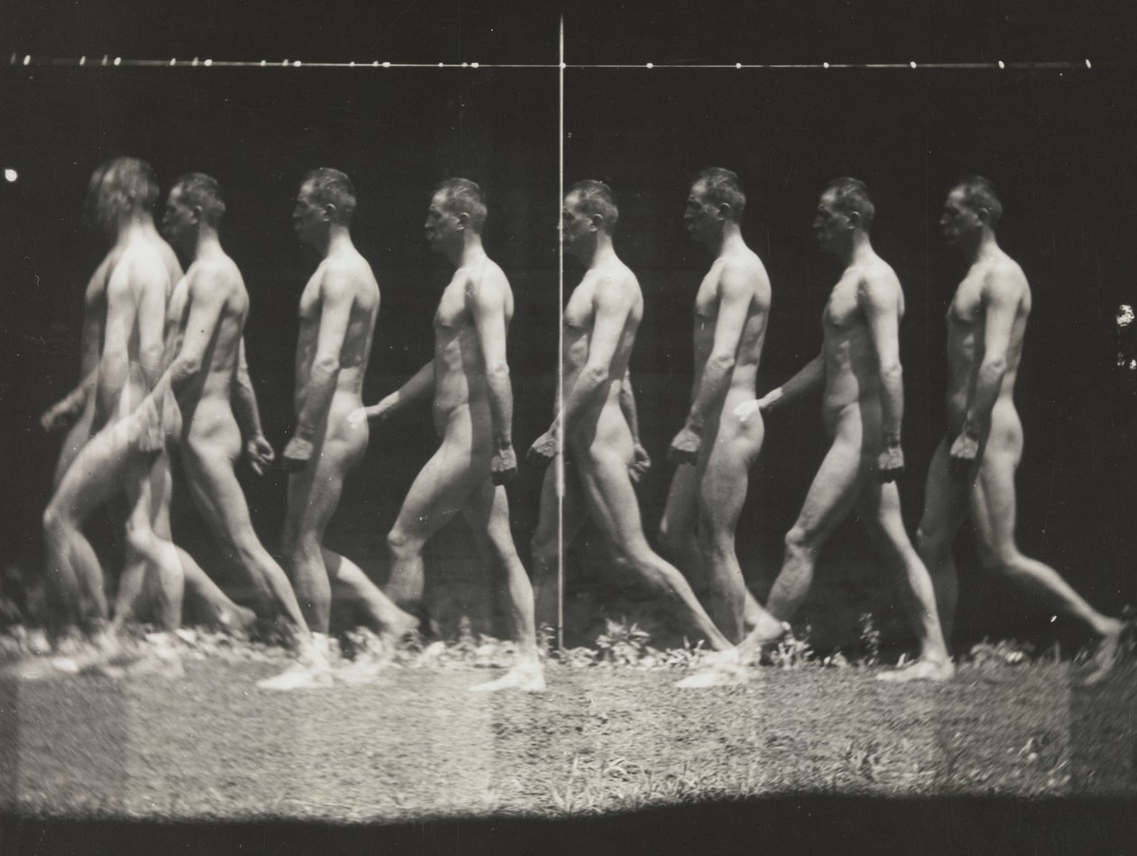 [Man Walking, Stroboscopic Photograph], 1880-luku, painettu 1930-40-luku, 1880-luku, painettu 1930-40-luku. tekijältä Thomas Eakins