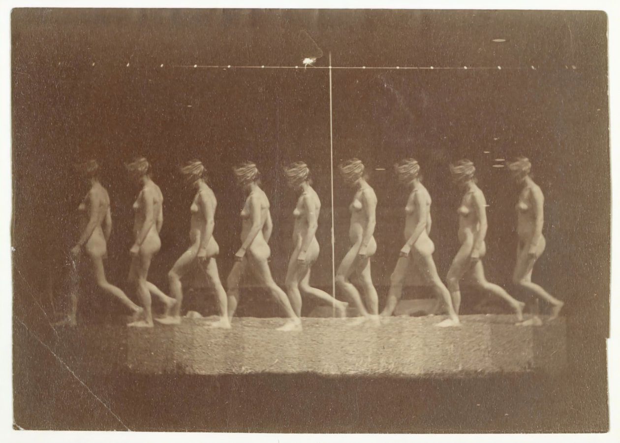 Marey Wheelin valokuvat tunnistamattomasta mallista, 1884. tekijältä Thomas Eakins