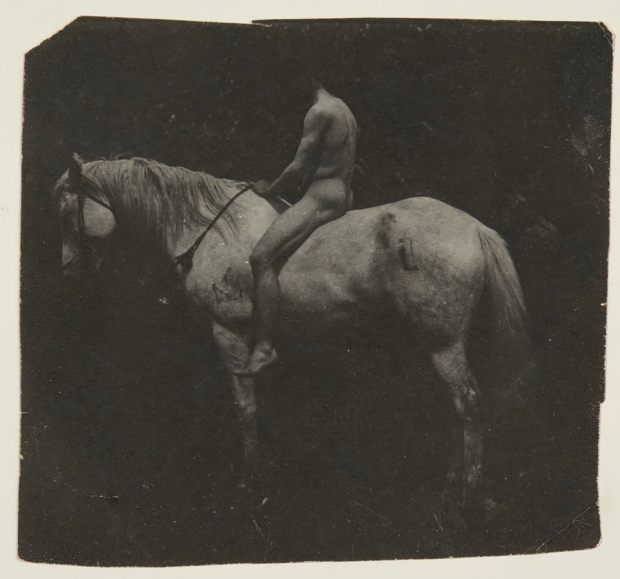 Samuel Murray Astide Eakinsin hevonen Billy, n. 1892. tekijältä Thomas Eakins