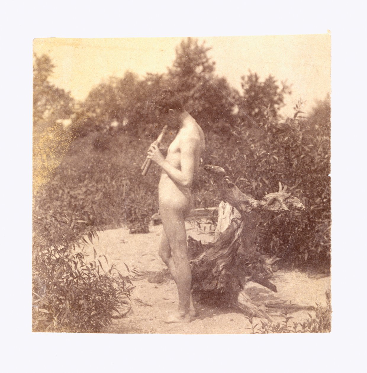Stehender Pfeifer (Studie für "Arkadia") tekijältä Thomas Eakins