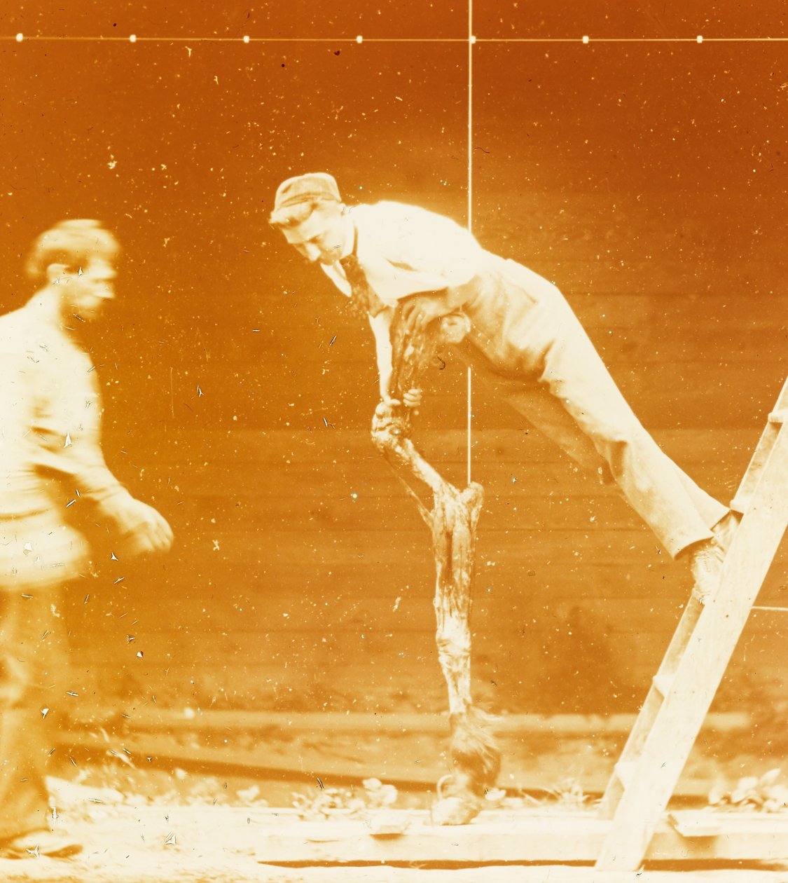 [Studie der Muskelaktion: Junger Mann lehnt an einem Pferdebein] tekijältä Thomas Eakins