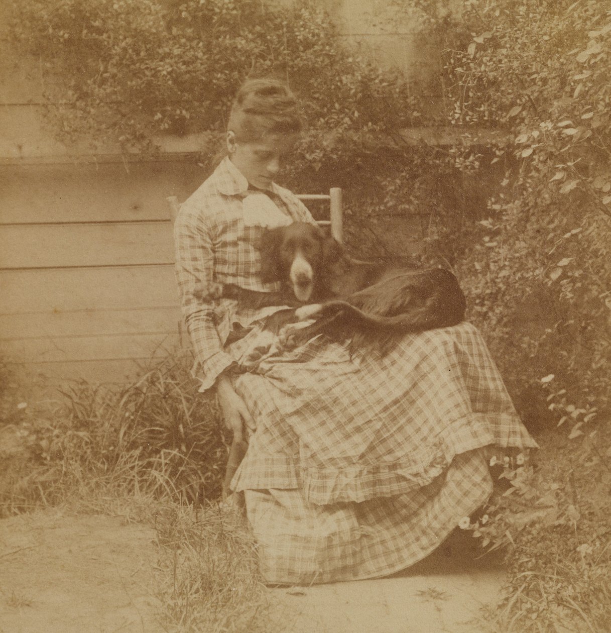 [Susan Macdowell (myöhemmin rouva Thomas Eakins) setterin kanssa] tekijältä Thomas Eakins