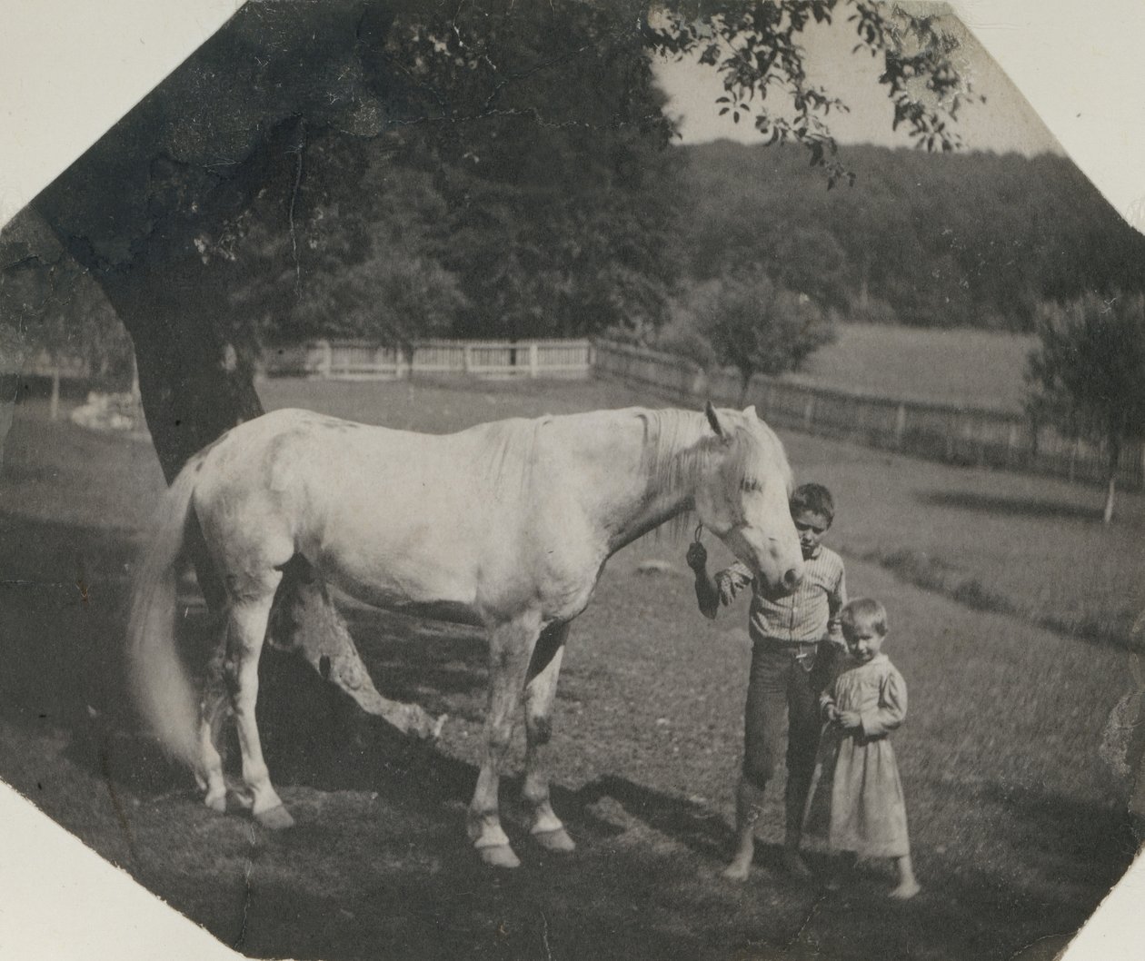 Thomas Eakinsin hevonen Billy ja kaksi Crowell-lasta Avondalessa, Pennsylvaniassa, noin. 1892. tekijältä Thomas Eakins