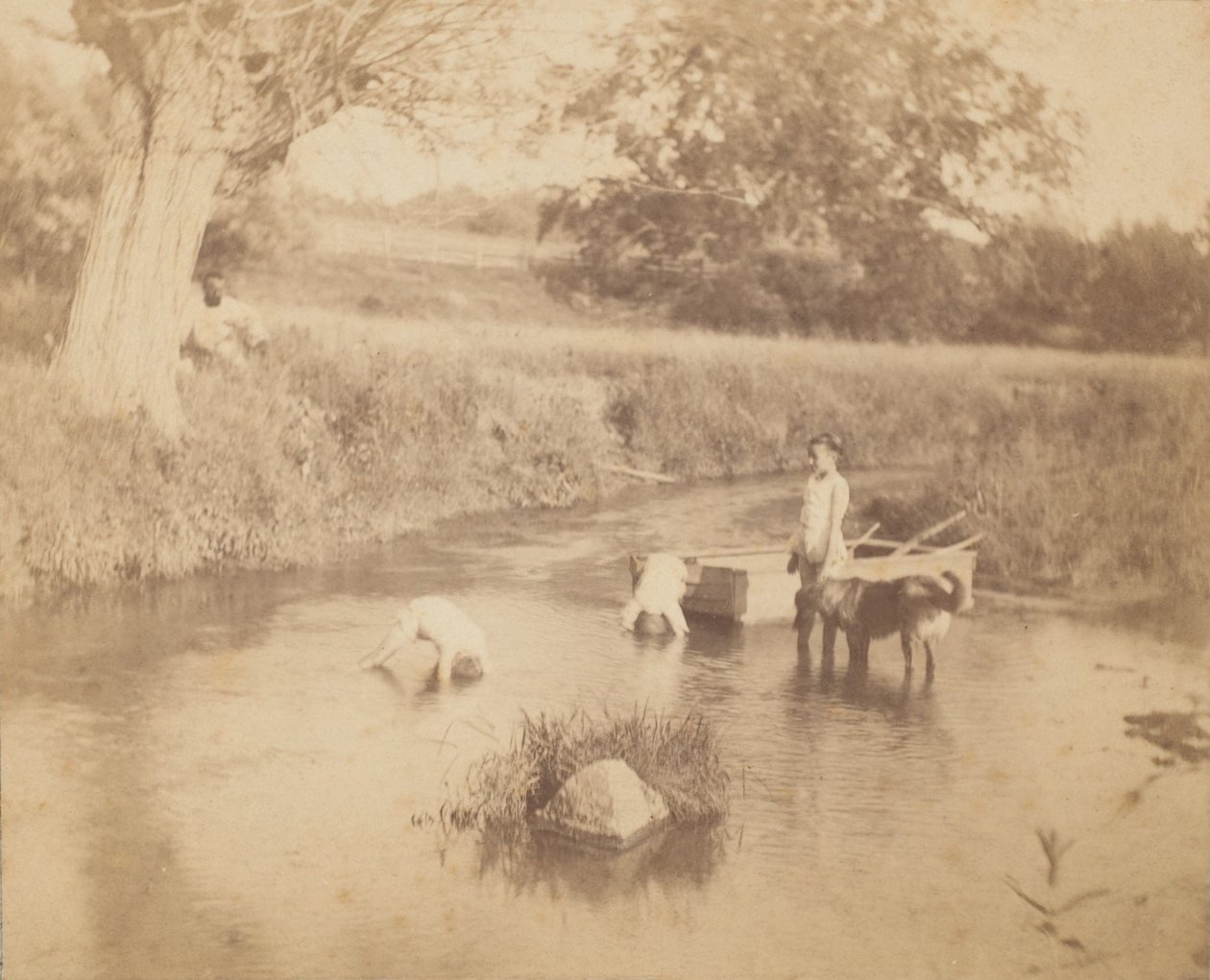 [Kolme lasta ja koira leikkimässä purolla, 4. heinäkuuta 1883], 1883, 1883. tekijältä Thomas Eakins