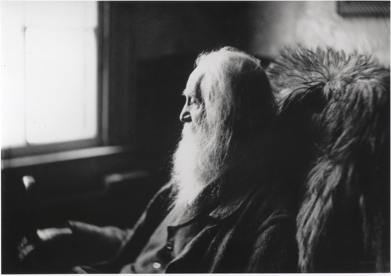 Walt Whitman Camdenissa, New Jerseyssä tekijältä Thomas Eakins