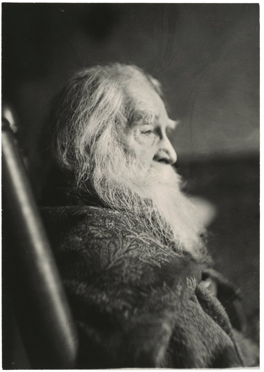 Walt Whitman Camdenissa, New Jerseyssä tekijältä Thomas Eakins