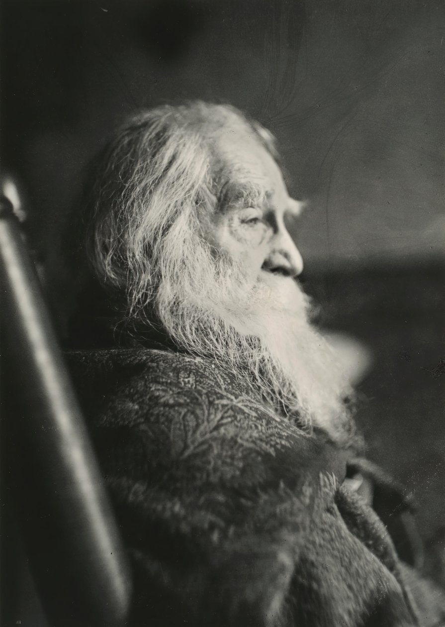 Walt Whitman Camdenissa, N.J., n. 1891. tekijältä Thomas Eakins