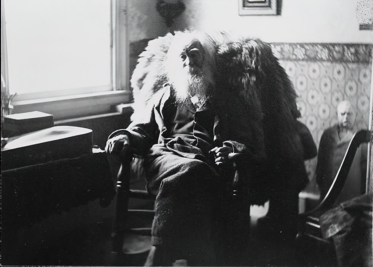 Walt Whitman Camdenissa, N.J., n. 1891. tekijältä Thomas Eakins