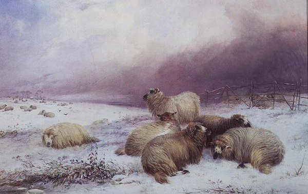Talvimaisema lampaiden kanssa tekijältä Thomas Francis Wainewright