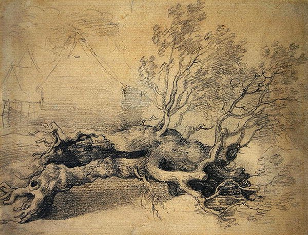 Kaatunut puu ja maatilan rakennukset sen takana (lyijykynä paperille) tekijältä Thomas Gainsborough