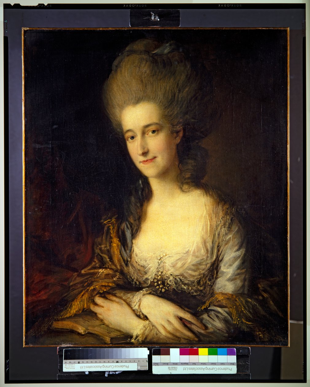 Muotokuva Dorotheasta, Lady Edenistä tekijältä Thomas Gainsborough