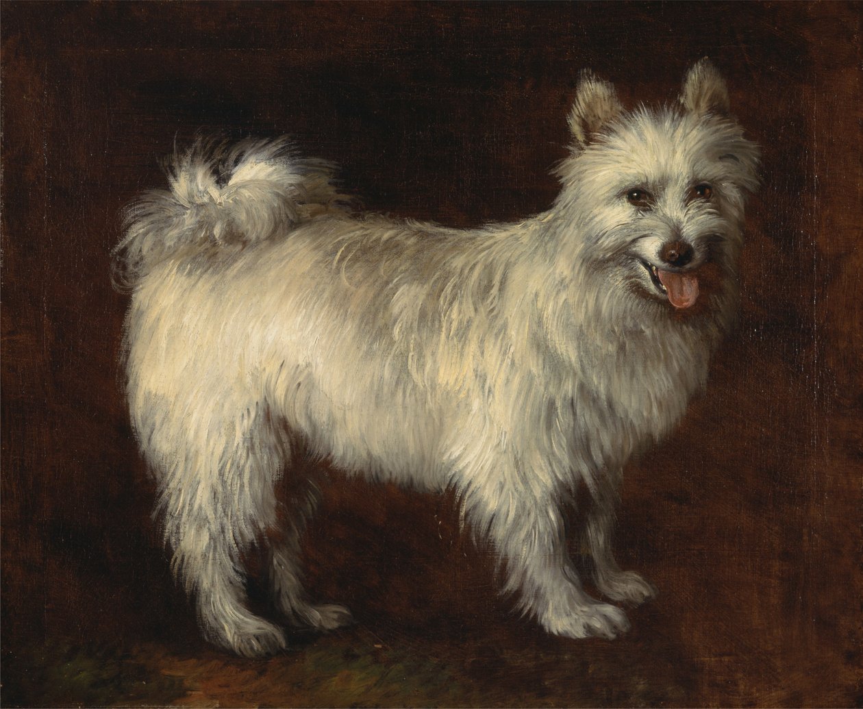 Spitz-koira tekijältä Thomas Gainsborough