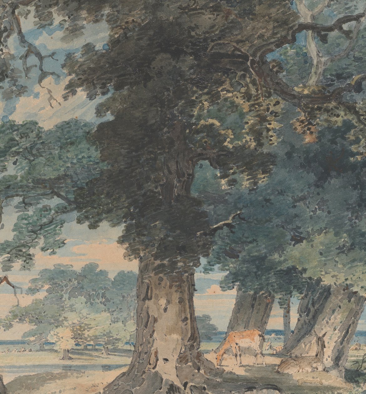 Hirvi Windsorin metsässä, 1793-94. tekijältä Thomas Girtin