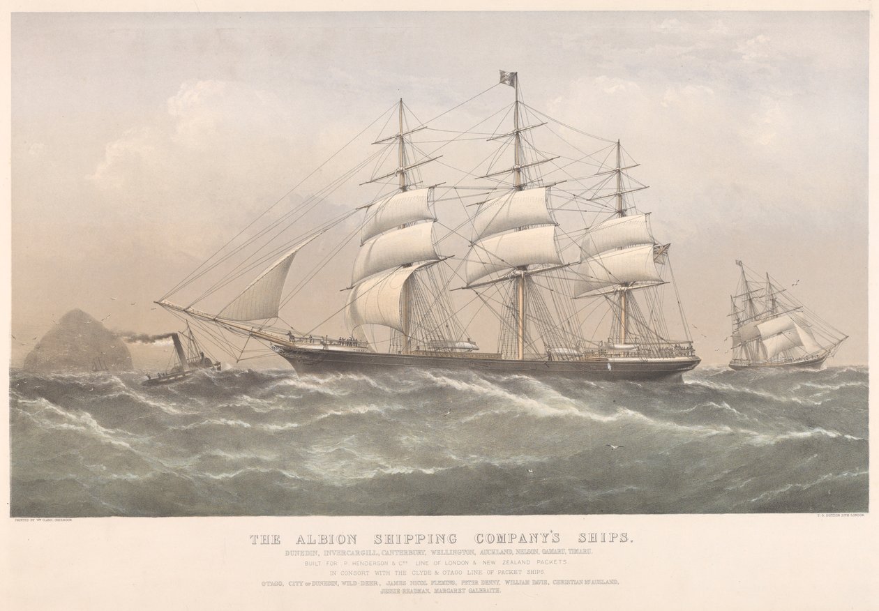 Albion Shipping Companyn alukset (värillinen litografia) tekijältä Thomas Goldsworth Dutton