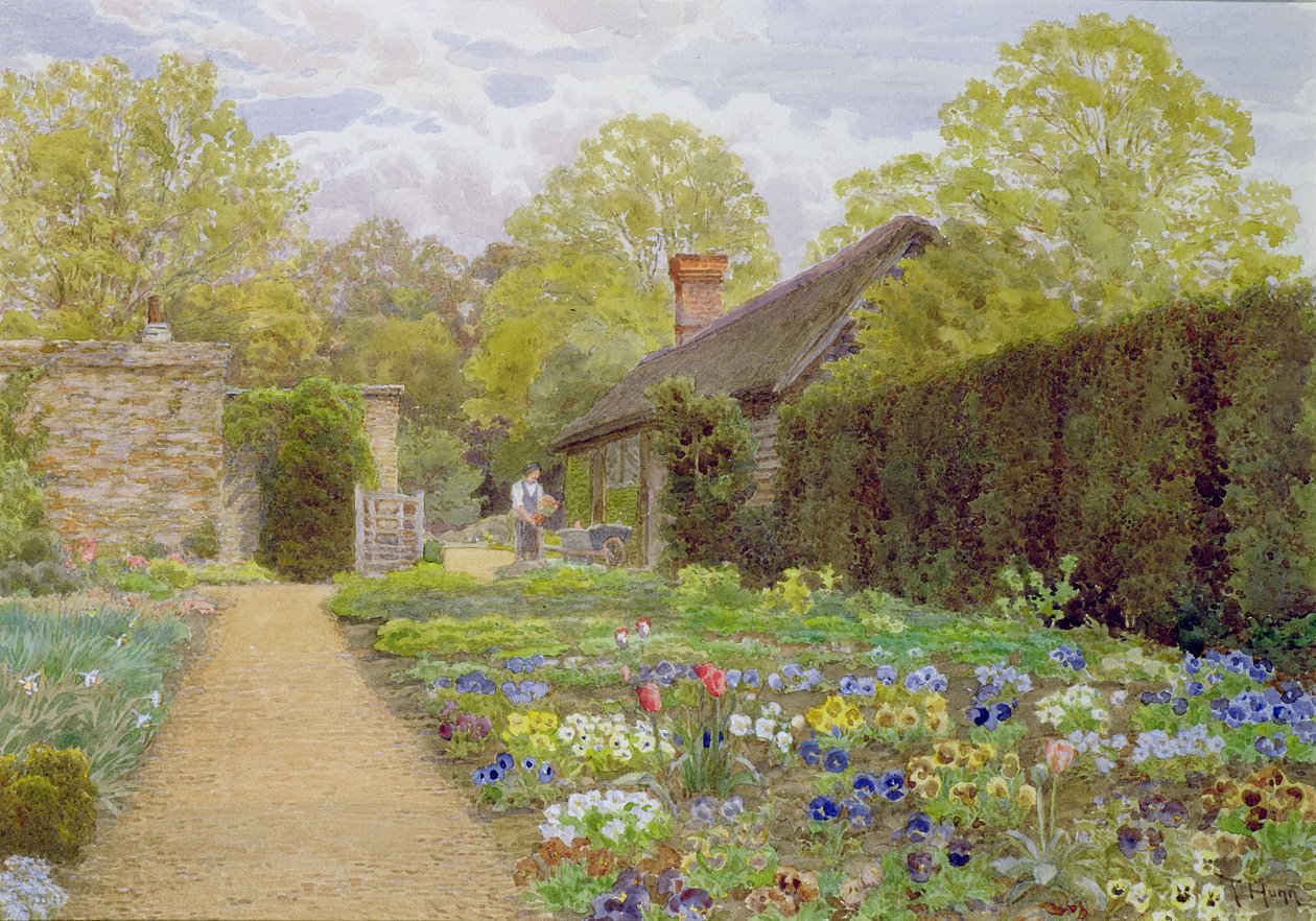 The Pansy Garden, Munstead Wood, Surrey, Gertrude Jekyllin koti; tekijältä Thomas H. Hunn