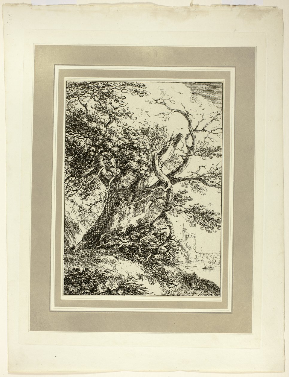 Old Tree, Specimens of Polyautography -lehden ensimmäisestä numerosta tekijältä Thomas Hearne