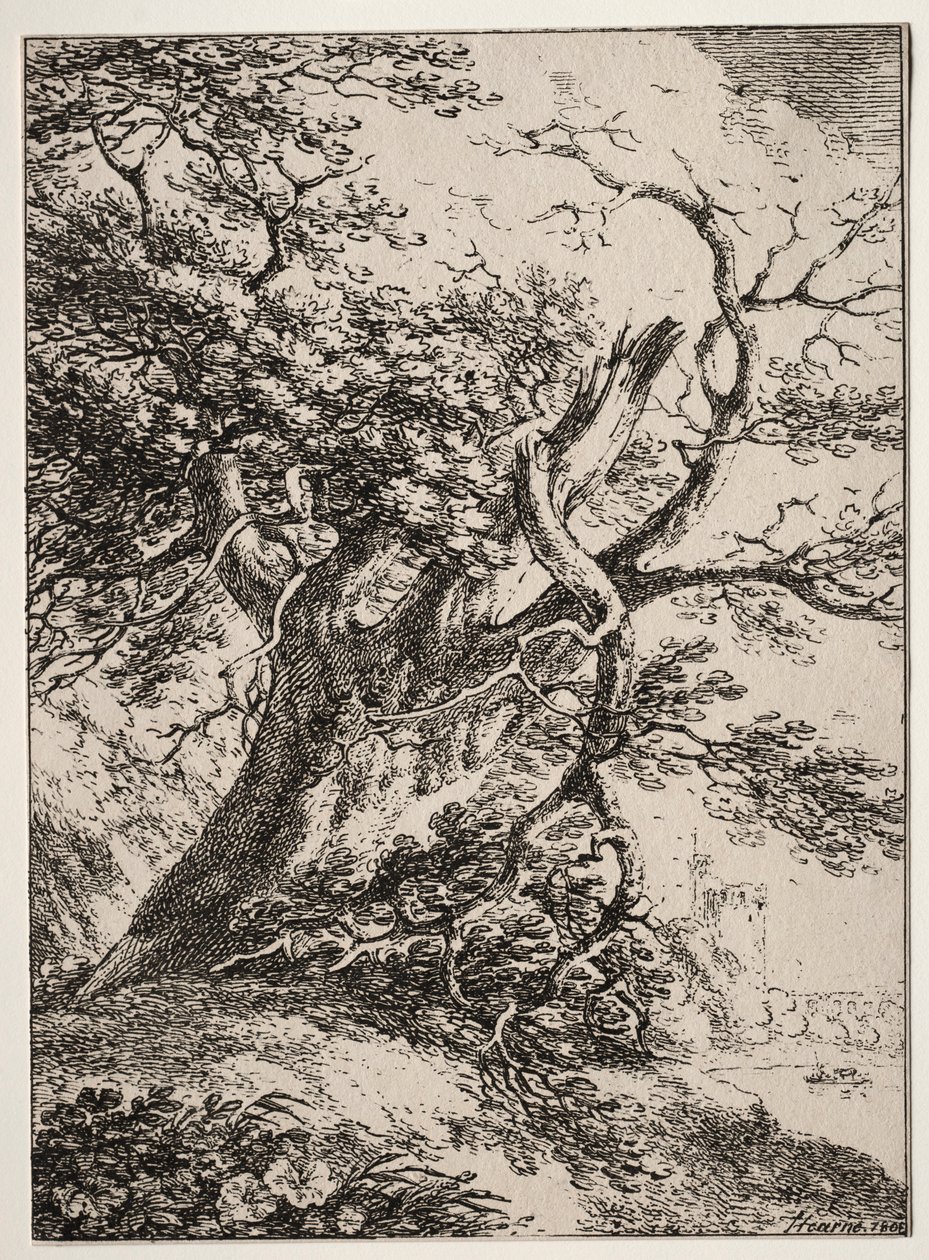 Polyautografian näytteet: Maisema tammen kanssa, 1803. tekijältä Thomas Hearne
