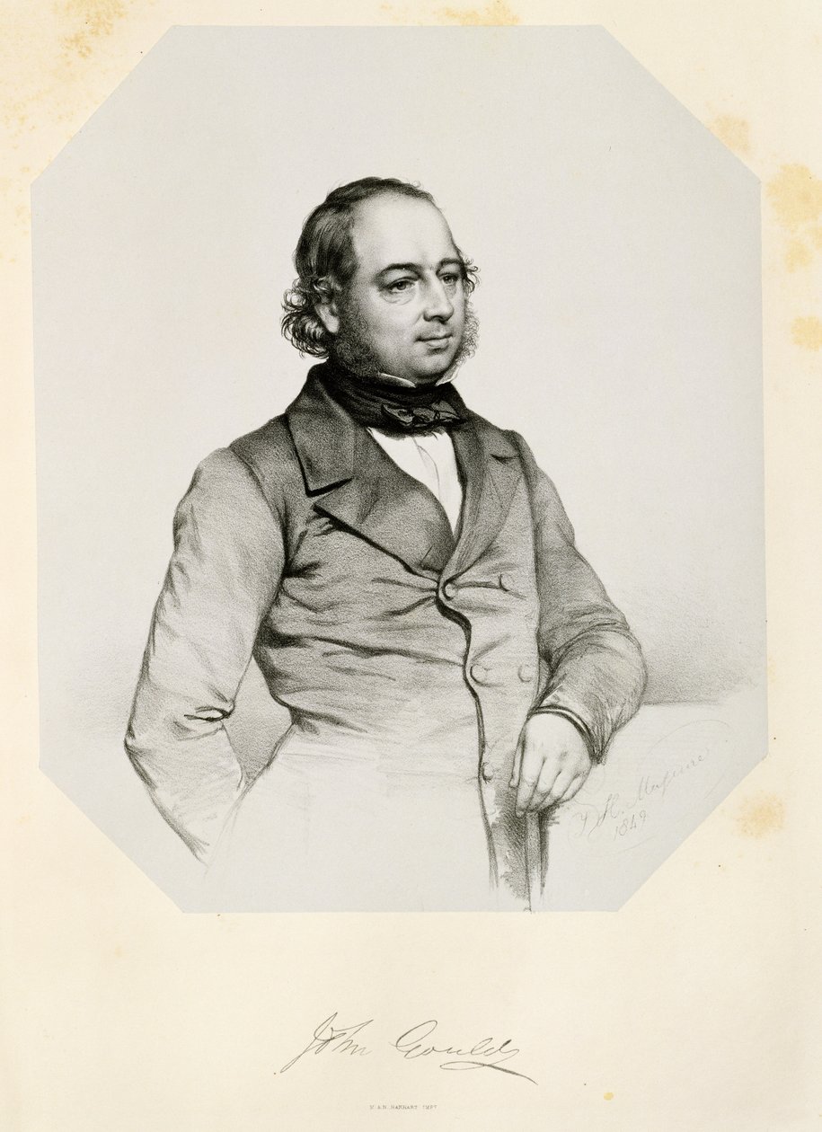 John Gould (1804-81) 1849 tekijältä Thomas Herbert Maguire