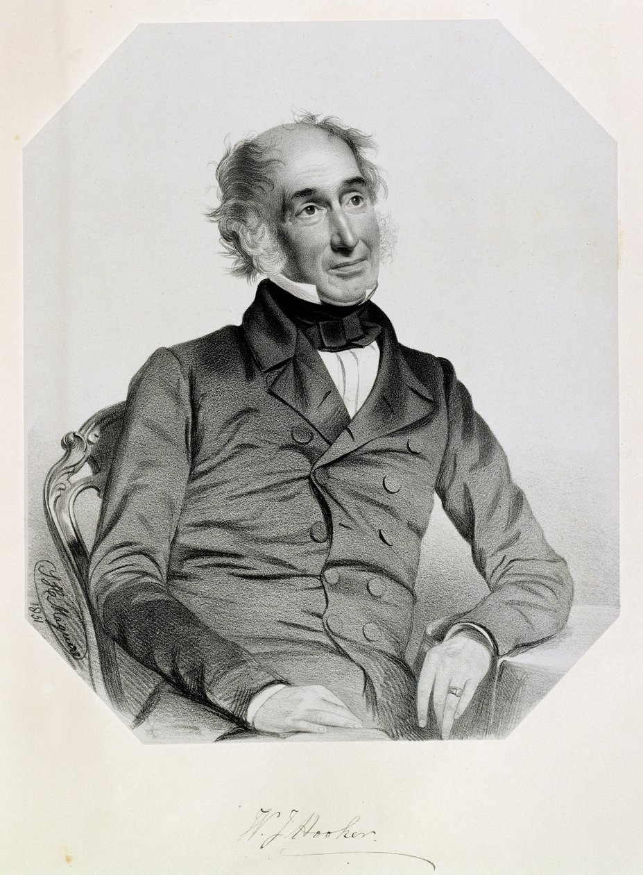 Sir William Jackson Hooker (1785-1865) 1851 tekijältä Thomas Herbert Maguire