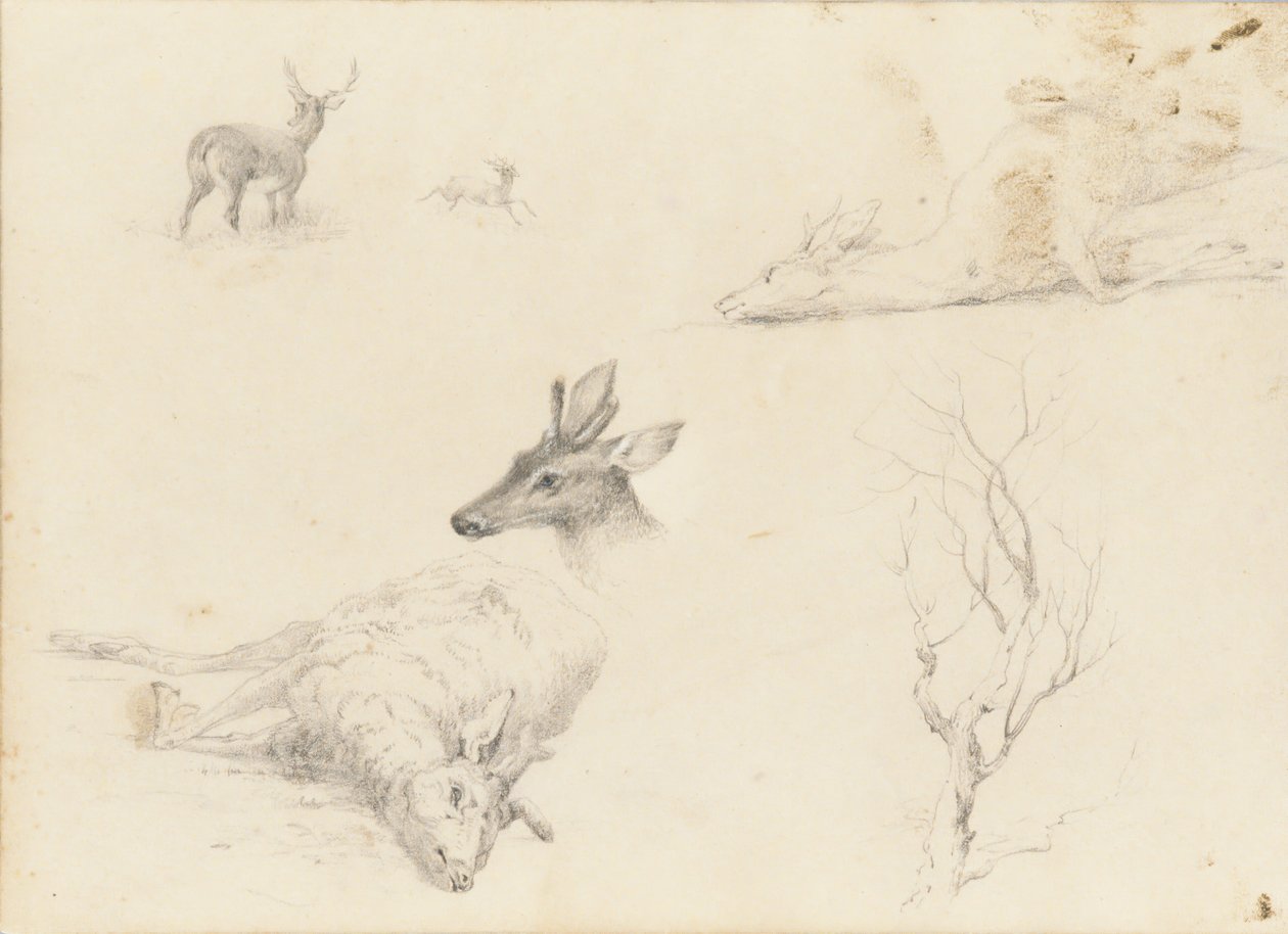 Luonnoskirja maisema- ja eläinaiheista, 1860-64. tekijältä Thomas Hewes Hinckley