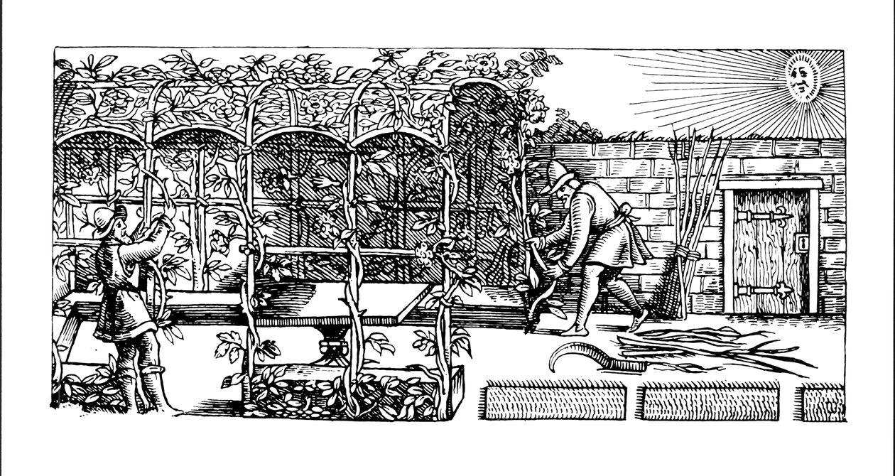Lehtimaja rakennetaan varjoksi aurinkoa vasten, Puutarhurin labyrintti, 1586 tekijältä Thomas Hill
