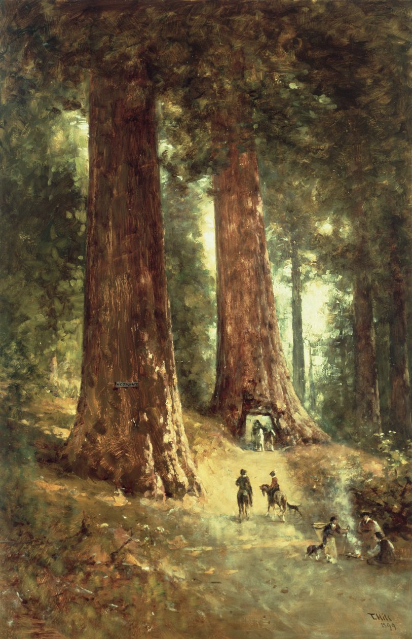 Redwoodsissa, 1899 tekijältä Thomas Hill