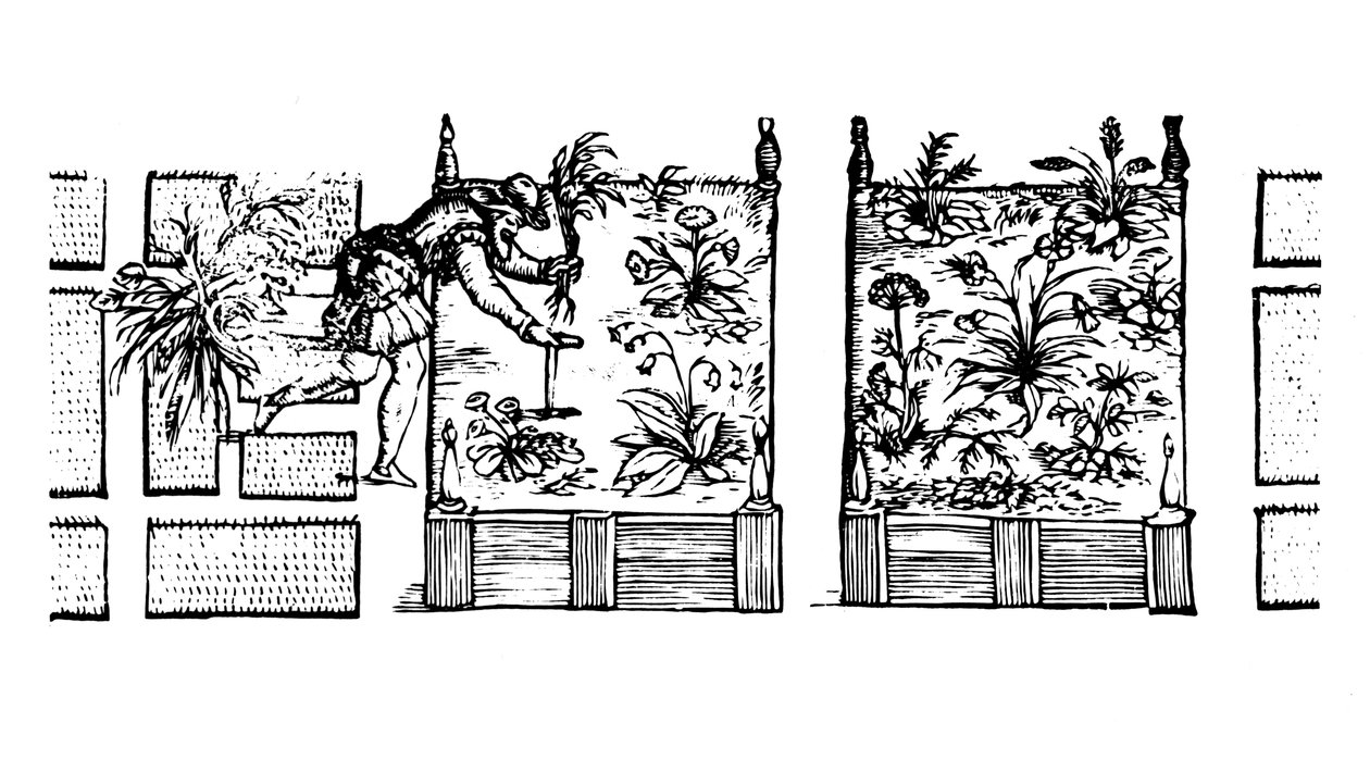 Istutus korotettuihin penkkeihin, Puutarhurin labyrintti, 1586 tekijältä Thomas Hill