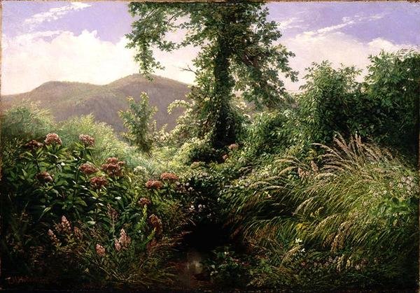 Catskill Mountains, Shandaken, New York (öljy kankaalle) tekijältä Thomas Hiram Hotchkiss