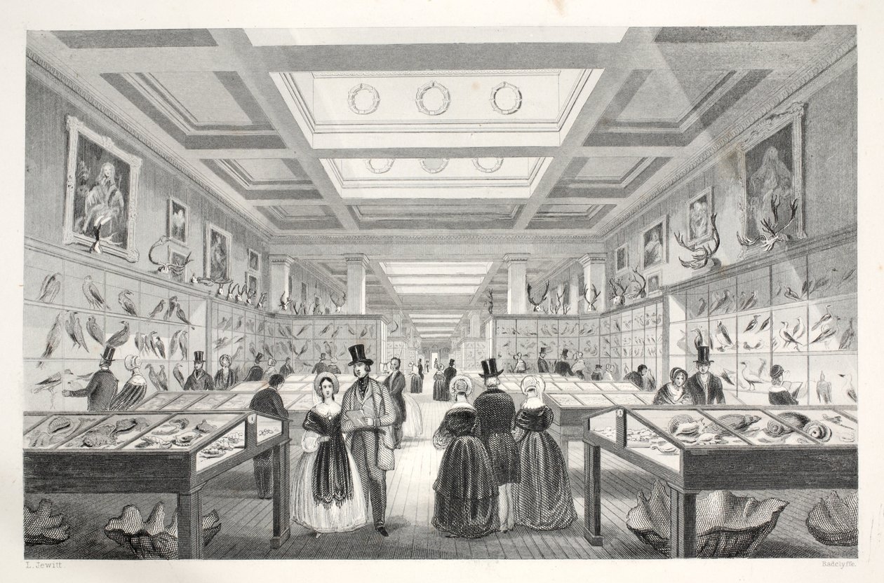 British Museum, Zoological Gallery, "London Interiors with their Costumes and Ceremonies" -pubista. Joseph Mead, Lontoo, n.1843 (teräskaiverrus) tekijältä Thomas Hosmer Shepherd