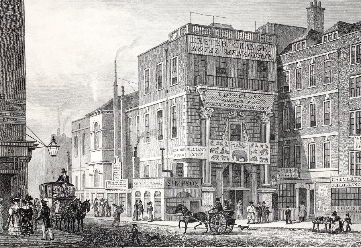 Exeter Change, Strand, "Lontoo ja sen ympäristö 1900-luvulla" -pubista. Jones und Co., 1827-1829 tekijältä Thomas Hosmer Shepherd