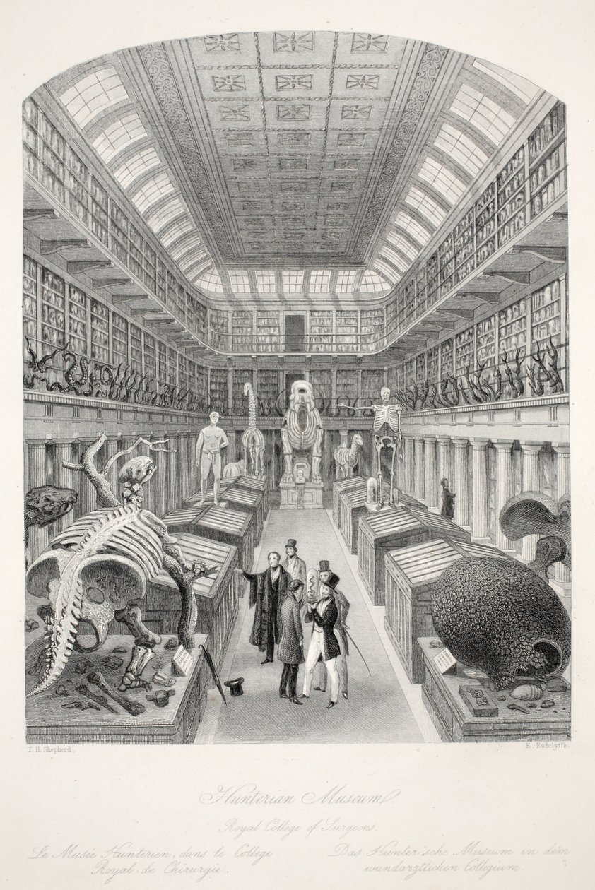 Hunterian Museum, Royal College of Surgeons, "London Interiors with their Costumes and Ceremonies" -pubista. Joseph Mead, Lontoo, n.1843 (teräskaiverrus) tekijältä Thomas Hosmer Shepherd