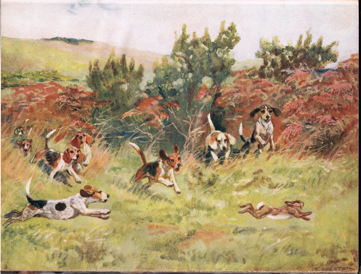 Jäniksen takaa, kuvitus kirjasta "Hounds" tekijältä Thomas Ivester Lloyd