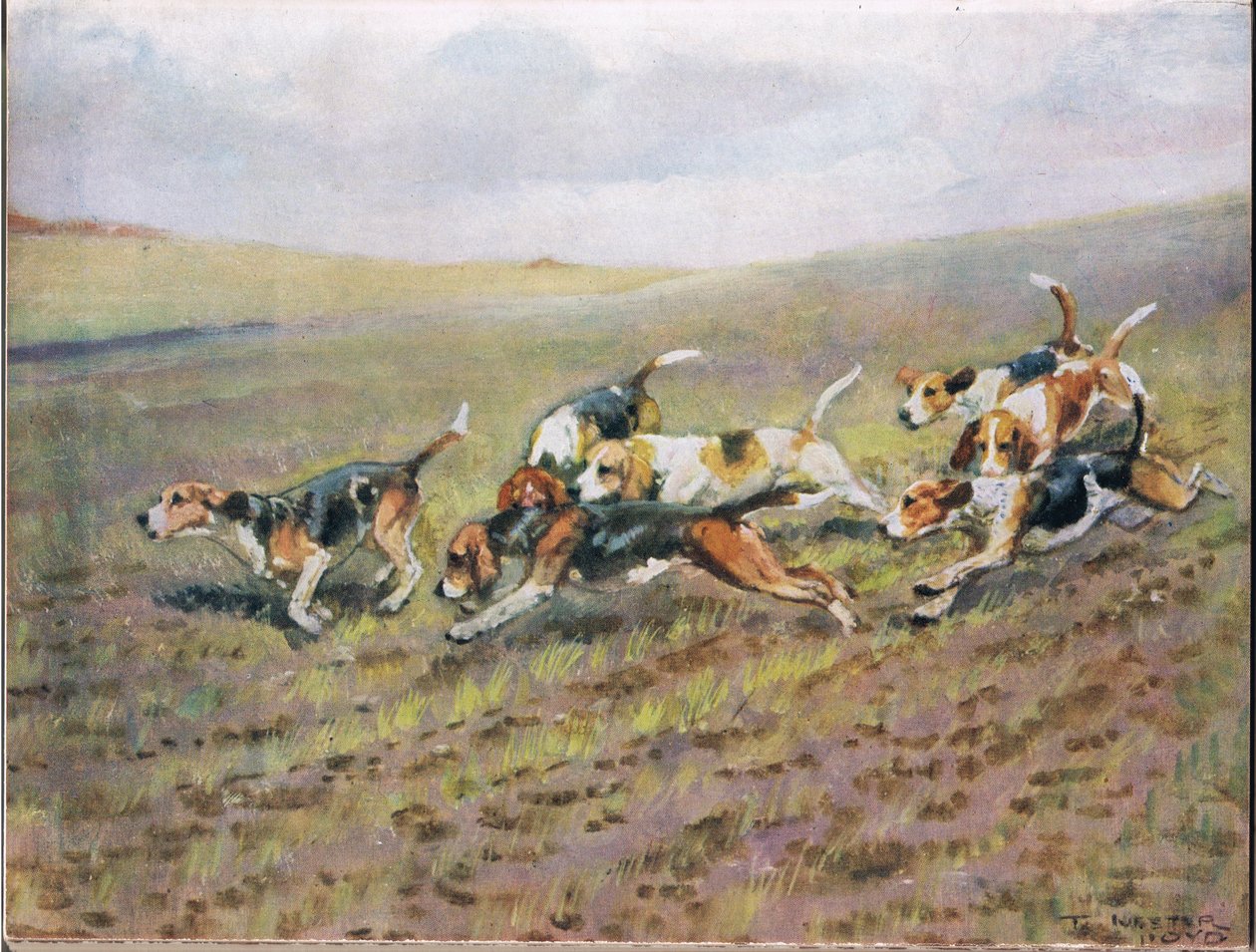 Crossing the Fields, kuvitus kirjasta "Hounds" tekijältä Thomas Ivester Lloyd