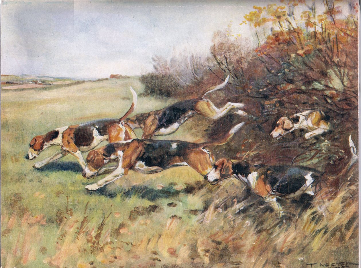 Tuoksun jälkeen, kuvitus kirjasta "Hounds" tekijältä Thomas Ivester Lloyd