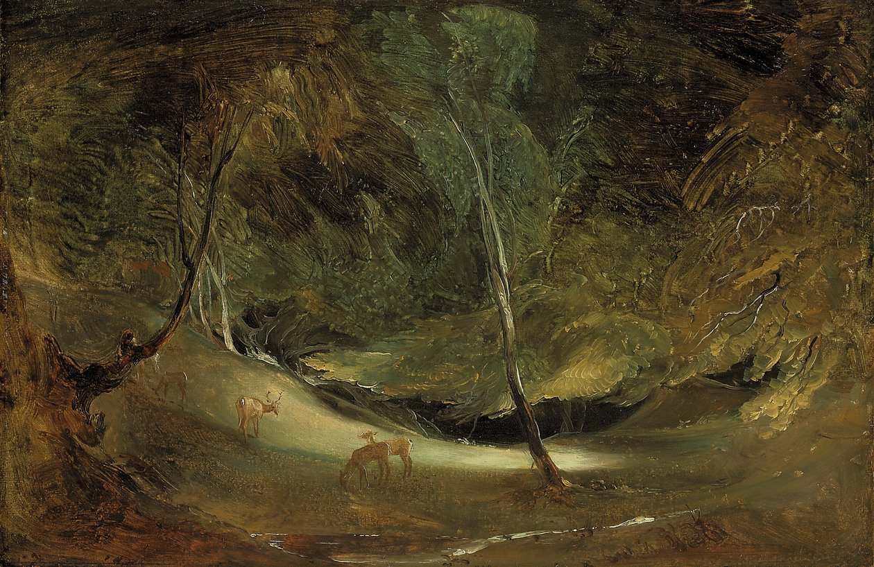 Jakotukin lähde Ilam Parkissa (öljy paperille, asetettu kankaalle) tekijältä Thomas Lawrence