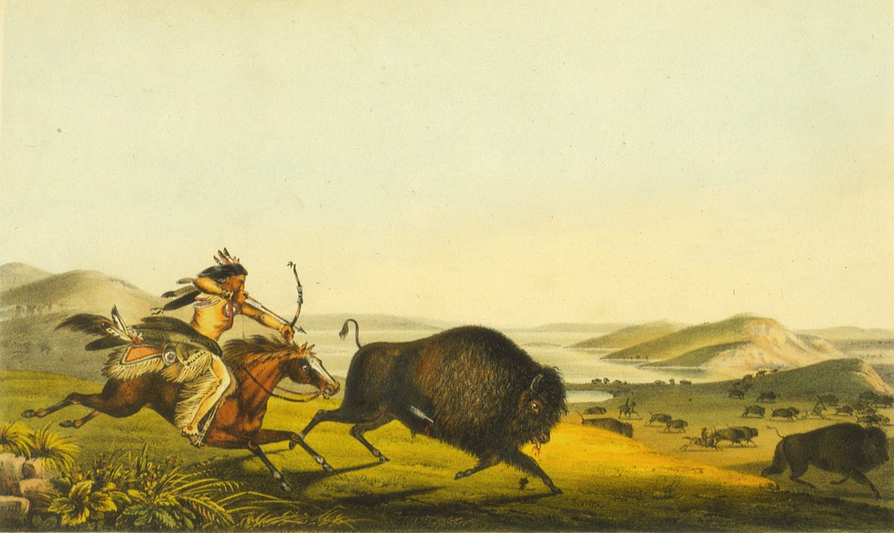 Buffalo Metsästys, 1848 (käsinvärinen litho) tekijältä Thomas Loraine McKenney
